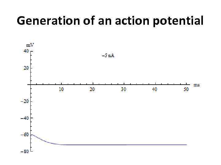 Generation of an action potential 