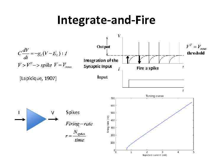 Integrate-and-Fire Integration of the Synaptic Input [Lapicique, 1907] I V Spikes Fire a spike