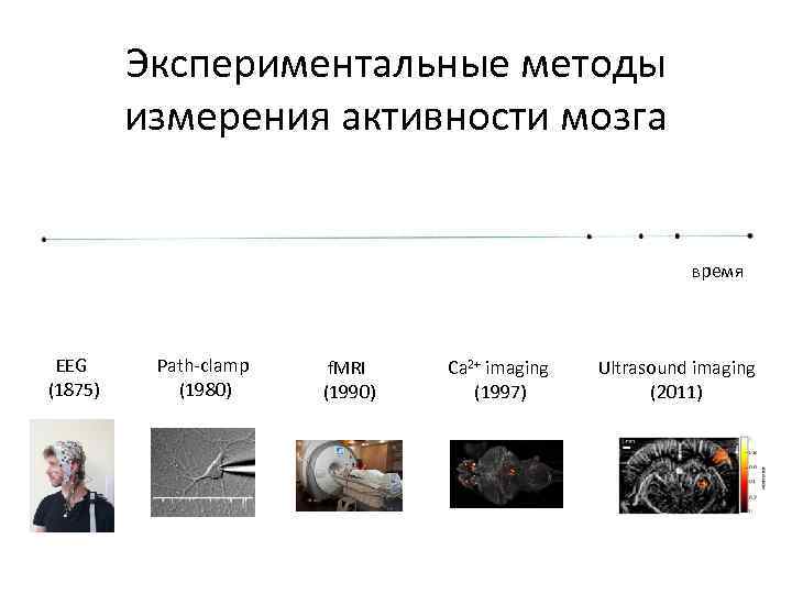 Экспериментальные методы измерения активности мозга время EEG (1875) Path-clamp (1980) f. MRI (1990) Ca