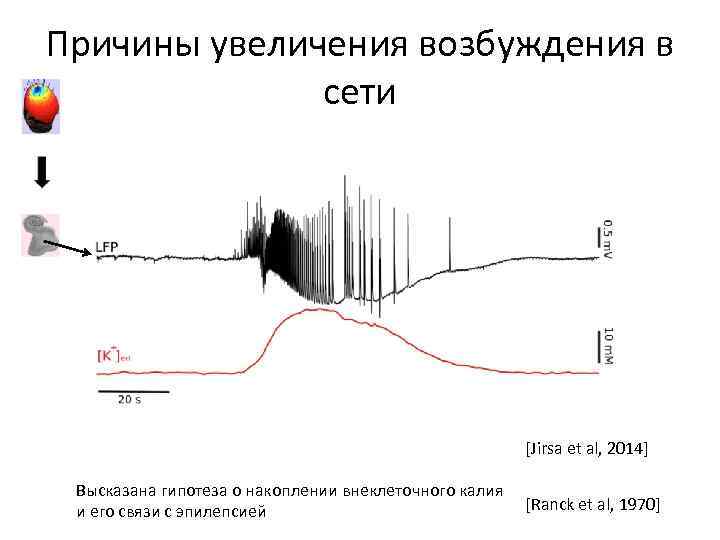 Причины увеличения возбуждения в сети [Jirsa et al, 2014] Высказана гипотеза о накоплении внеклеточного