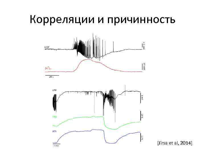 Корреляции и причинность [Jirsa et al, 2014] 