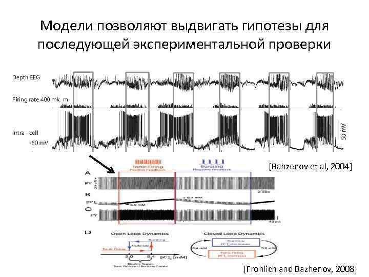 Модели позволяют выдвигать гипотезы для последующей экспериментальной проверки [Bahzenov et al, 2004] [Frohlich and