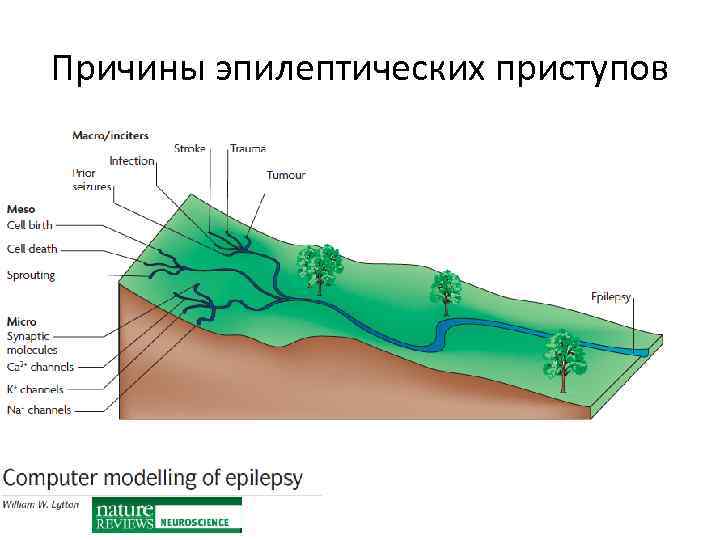 Причины эпилептических приступов 