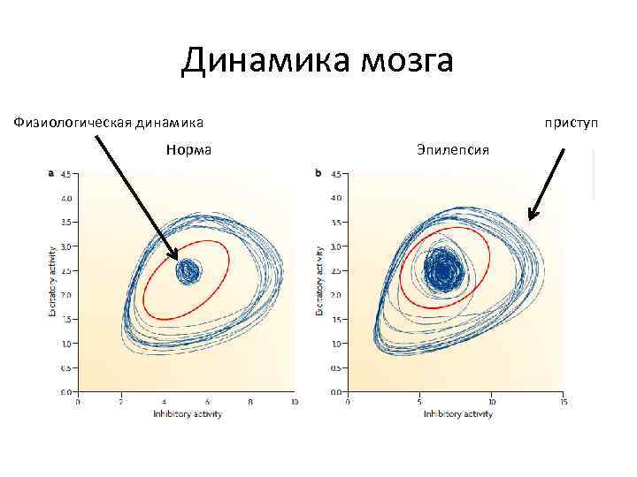 Динамика мозга Физиологическая динамика Норма приступ Эпилепсия 