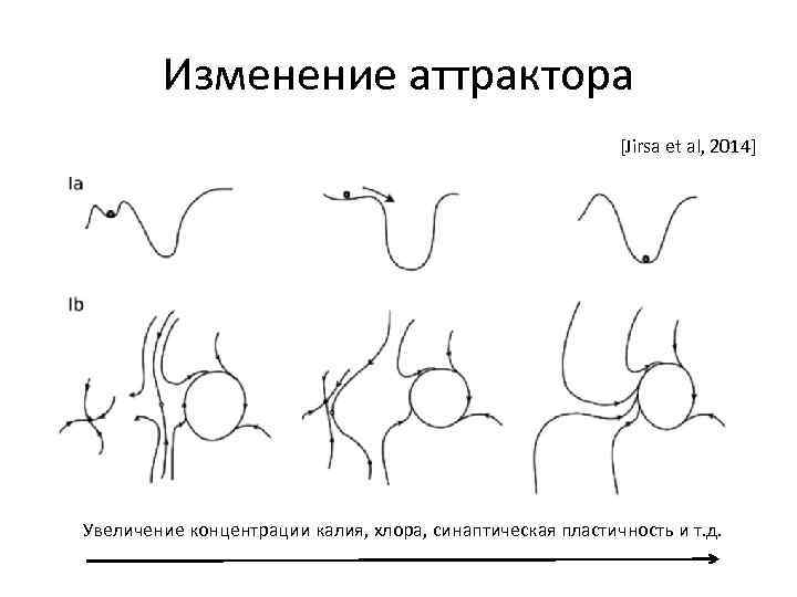 Изменение аттрактора [Jirsa et al, 2014] Увеличение концентрации калия, хлора, синаптическая пластичность и т.