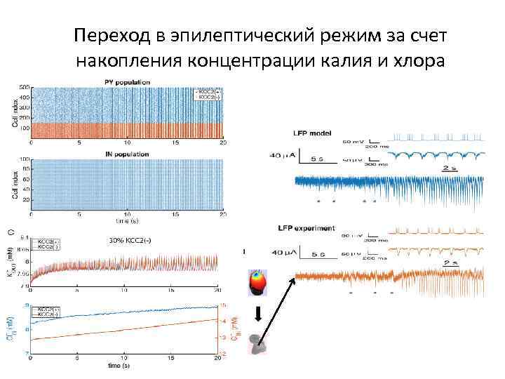 Переход в эпилептический режим за счет накопления концентрации калия и хлора 