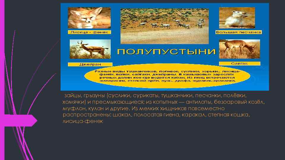 зайцы, грызуны (суслики, сурикаты, тушканчики, песчанки, полёвки, хомячки) и пресмыкающиеся; из копытных — антилопы,