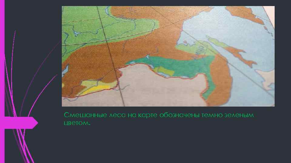 Смешанные леса на карте обозначены темно зеленым цветом. 