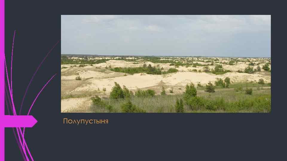 Полупустыня 