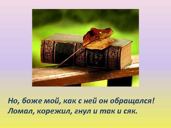 Но, боже мой, как с ней он обращался! Ломал, корежил, гнул и так и