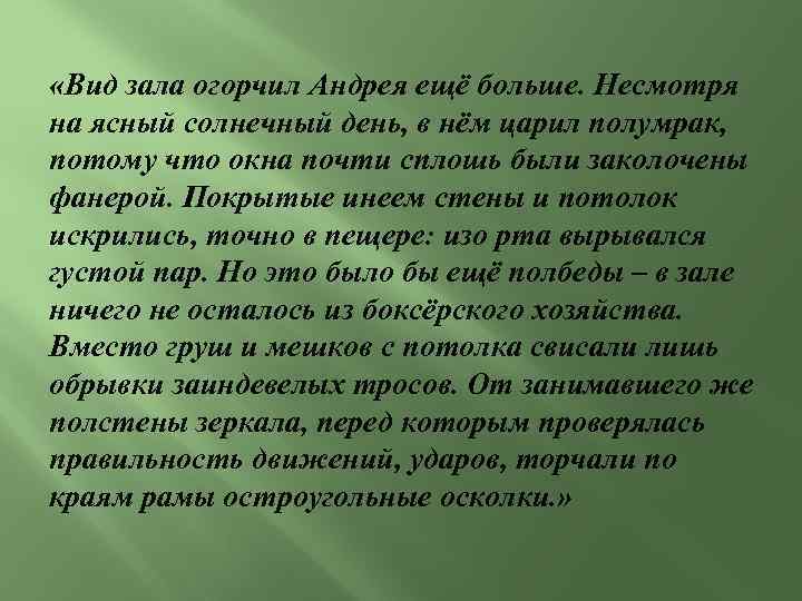  «Вид зала огорчил Андрея ещё больше. Несмотря на ясный солнечный день, в нём