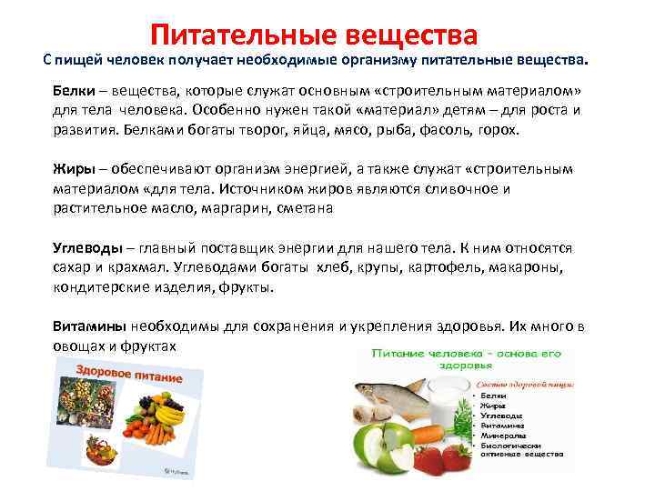 Питательные вещества С пищей человек получает необходимые организму питательные вещества. Белки – вещества, которые