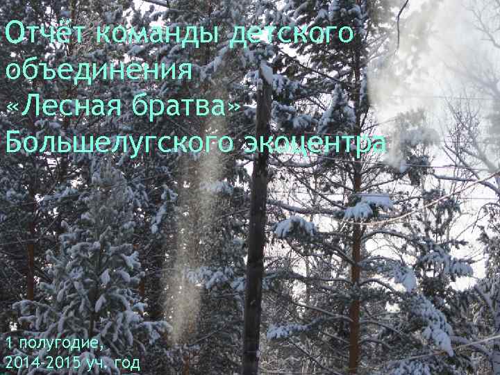 Отчёт команды детского объединения «Лесная братва» Большелугского экоцентра 1 полугодие, 2014 -2015 уч. год