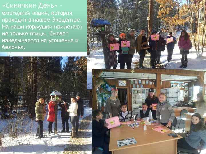  «Синичкин День» ежегодная акция, которая проходит в нашем Экоцентре. На наши кормушки прилетают