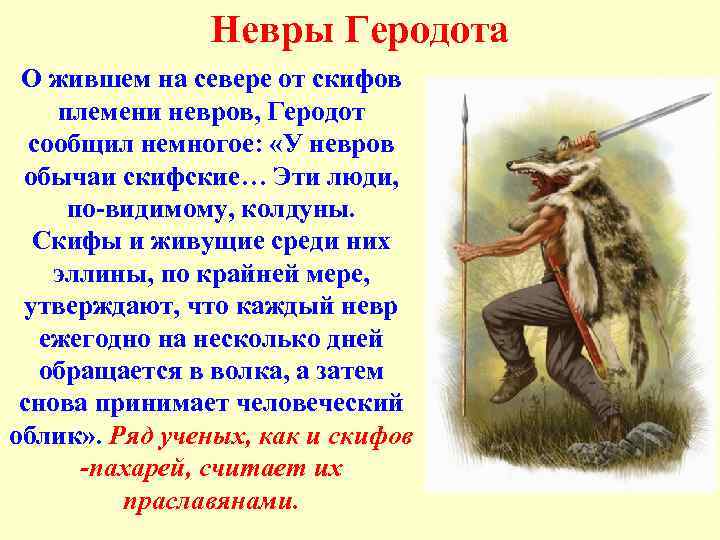 Невры Геродота О жившем на севере от скифов племени невров, Геродот сообщил немногое: «У