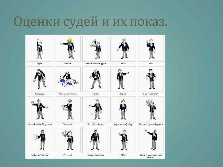 Оценки судей и их показ. 
