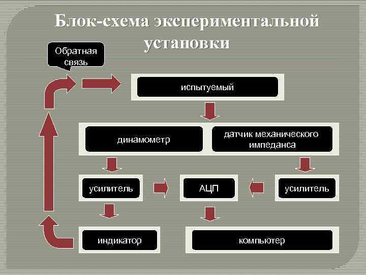 Блок-схема экспериментальной установки Обратная связь испытуемый датчик механического импеданса динамометр усилитель индикатор АЦП усилитель