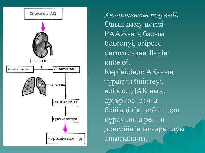 Ангиотензин тәуелді. Оның даму негізі — РААЖ-нің басым белсенуі, әсіресе ангиотензин ІІ-нің көбеюі. Көрінісінде
