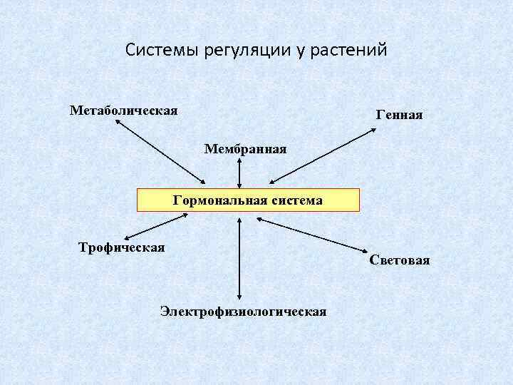 Система регуляции. Системы регуляции растений. Регуляция у растений. Регуляторные механизмы у растений. Мембранная система регуляции.