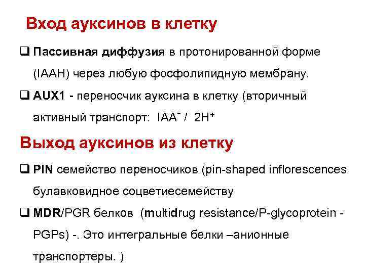 Вход ауксинов в клетку q Пассивная диффузия в протонированной форме (IAAH) через любую фосфолипидную