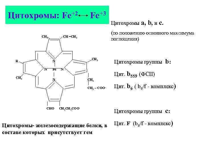 Цитохромы: Fe+2 СН 3 R СН 3 Fe СН 3 N СН 2 –
