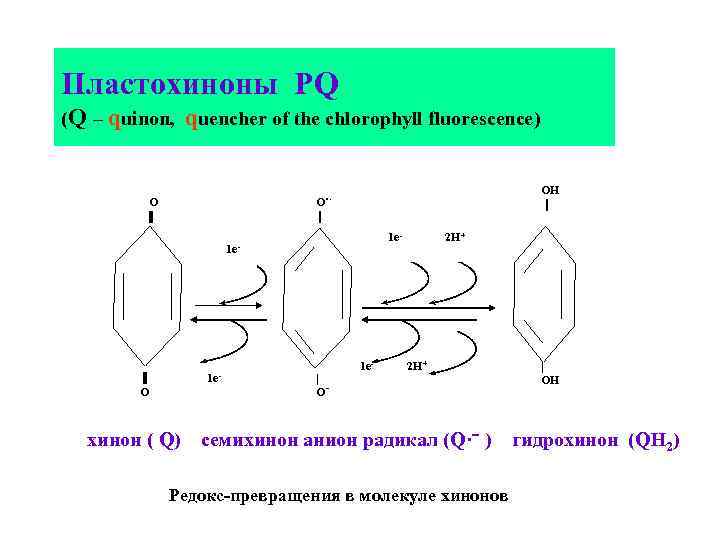 Пластохиноны PQ (Q – quinon, quencher of the chlorophyll fluorescence) ОН О. · О