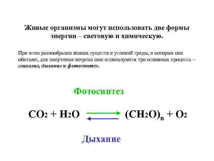 Химическая форма энергии. Фотосинтез. Способы получения энергии живыми существами. Используют для получения энергии химические реакции. Как живые организмы используют энергию.