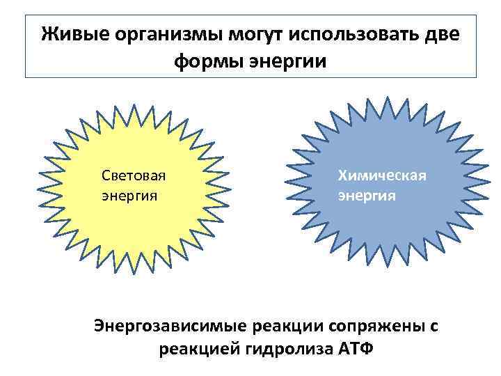 Световая энергия в химическую