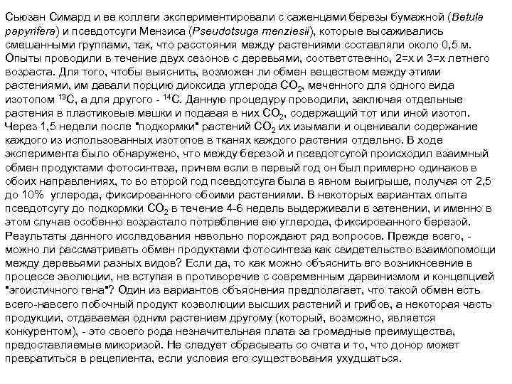 Сьюзан Симард и ее коллеги экспериментировали с саженцами березы бумажной (Betula papyrifera) и псевдотсуги