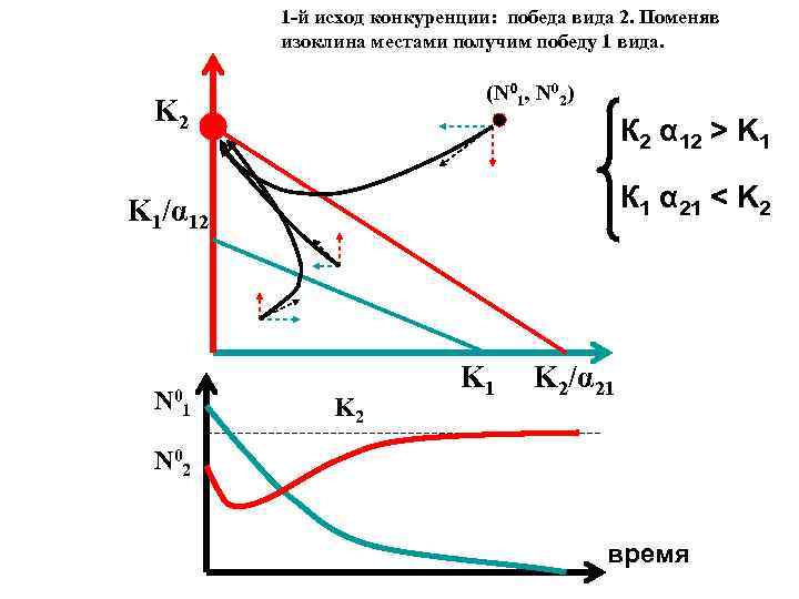 1 -й исход конкуренции: победа вида 2. Поменяв изоклина местами получим победу 1 вида.