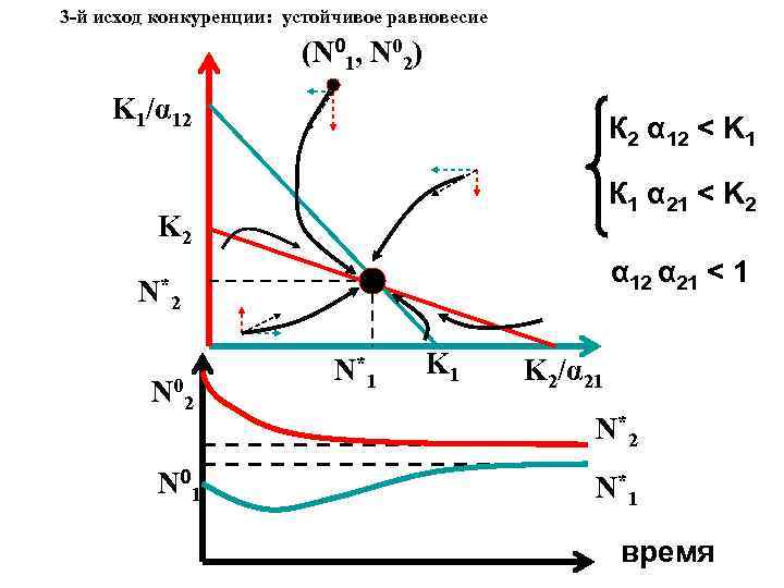 3 -й исход конкуренции: устойчивое равновесие (N 01, N 02) K 1/α 12 К