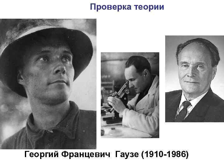 Проверка теории Георгий Францевич Гаузе (1910 -1986) 