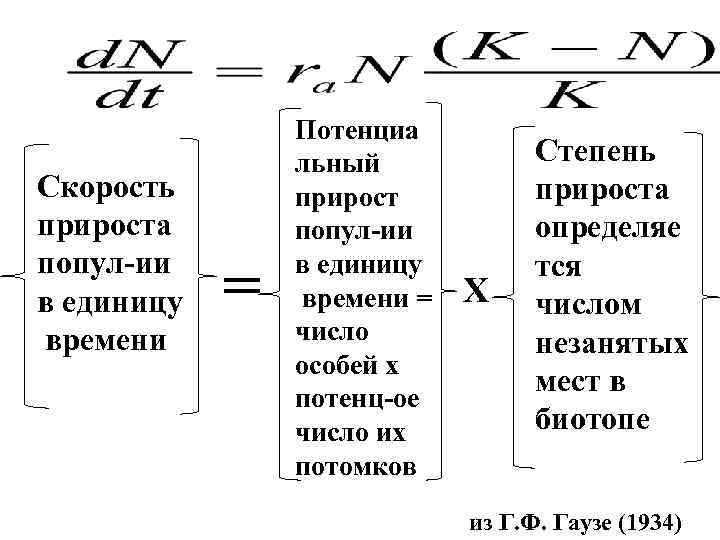 Скорость прироста попул-ии в единицу времени = Потенциа льный прирост попул-ии в единицу времени