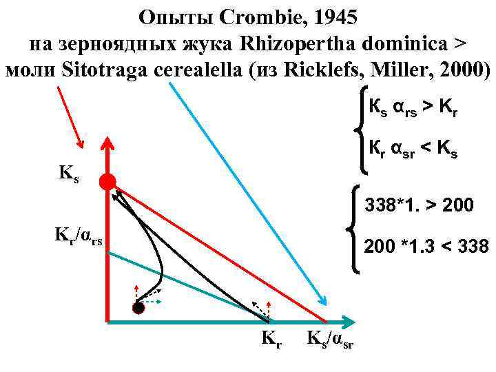 Опыты Crombie, 1945 на зерноядных жука Rhizopertha dominica > моли Sitotraga cerealella (из Ricklefs,