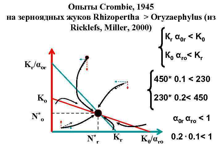Опыты Crombie, 1945 на зерноядных жуков Rhizopertha > Oryzaephylus (из Ricklefs, Miller, 2000) Кr