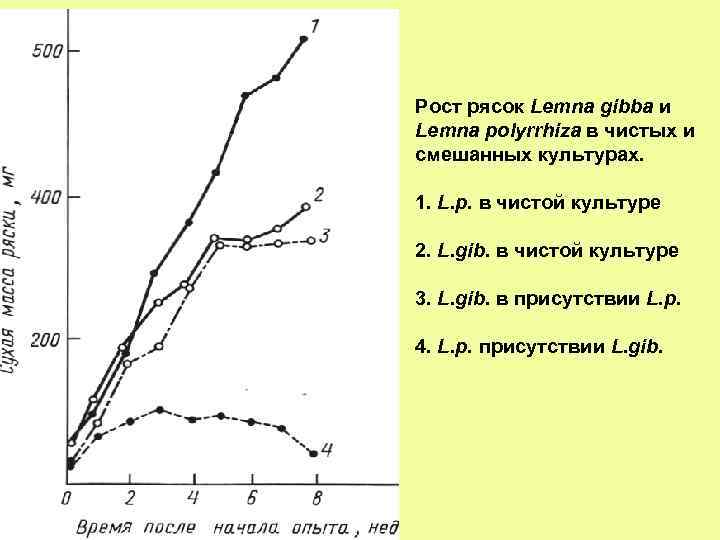 Рост рясок Lemna gibba и Lemna polyrrhiza в чистых и смешанных культурах. 1. L.