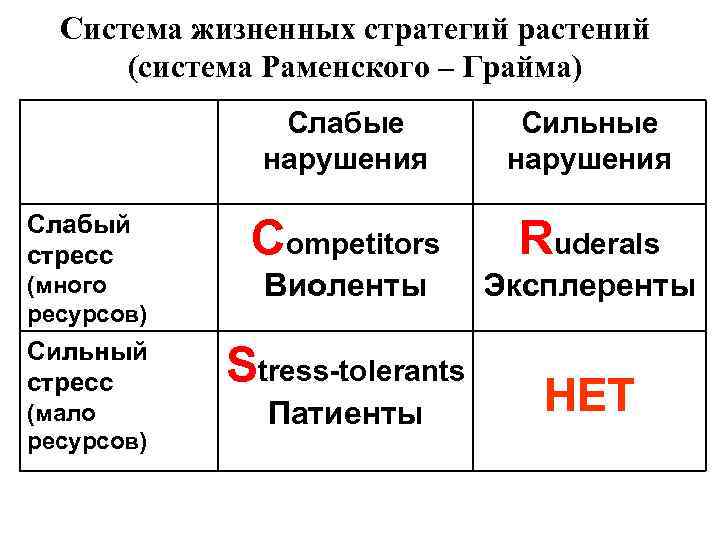 Жизненные стратегии растений. Система Раменского грайма. Типы стратегий Раменского-грайма. Жизненные стратегии видов. Типы стратегий грайма.