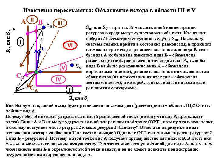 Изоклины пересекаются: Объяснение исхода в области III и V R 2 или S 2