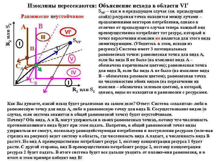 Изоклины пересекаются: Объяснение исхода в области VI′ R 2 или S 2 Равновесие неустойчивое