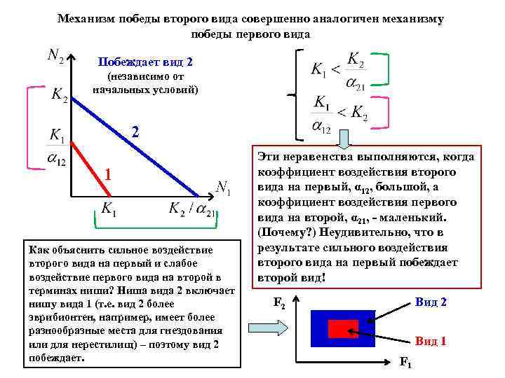 Вторая компенсация. Коэффициент конкуренции. Модель Тильмана. Модель Вольтерра коэффициенты за что отвечают.