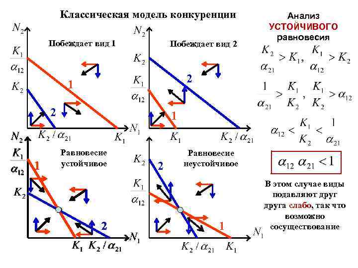 Классическая модель конкуренции Побеждает вид 1 Побеждает вид 2 2 1 Анализ УСТОЙЧИВОГО равновесия