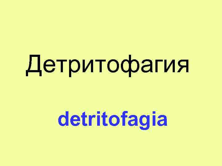 Детритофагия detritofagia 