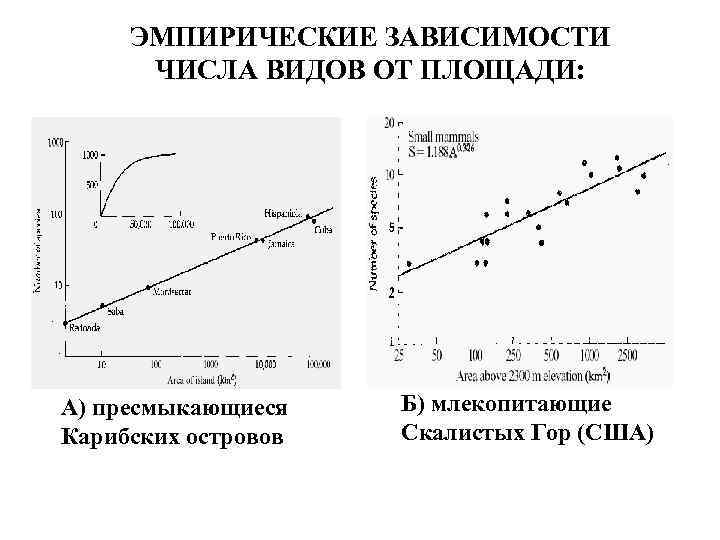 ЭМПИРИЧЕСКИЕ ЗАВИСИМОСТИ ЧИСЛА ВИДОВ ОТ ПЛОЩАДИ: А) пресмыкающиеся Карибских островов Б) млекопитающие Скалистых Гор