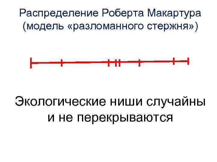 Распределение Роберта Макартура (модель «разломанного стержня» ) Экологические ниши случайны и не перекрываются 