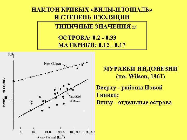 НАКЛОН КРИВЫХ «ВИДЫ-ПЛОЩАДЬ» И СТЕПЕНЬ ИЗОЛЯЦИИ ТИПИЧНЫЕ ЗНАЧЕНИЯ z: ОСТРОВА: 0. 2 - 0.