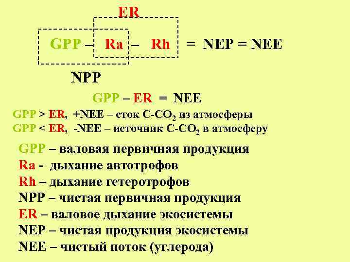 ER GPP – Ra – Rh = NEP = NEE NPP GPP – ER