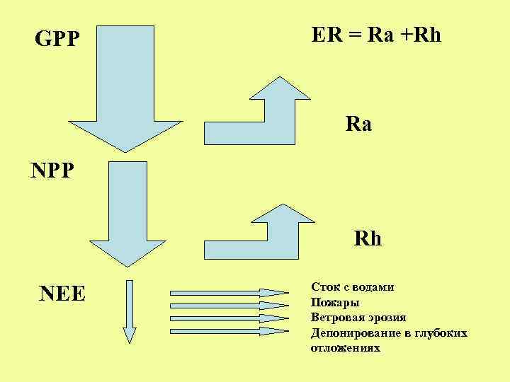 GPP ER = Ra +Rh Ra NPP Rh NEE Сток с водами Пожары Ветровая