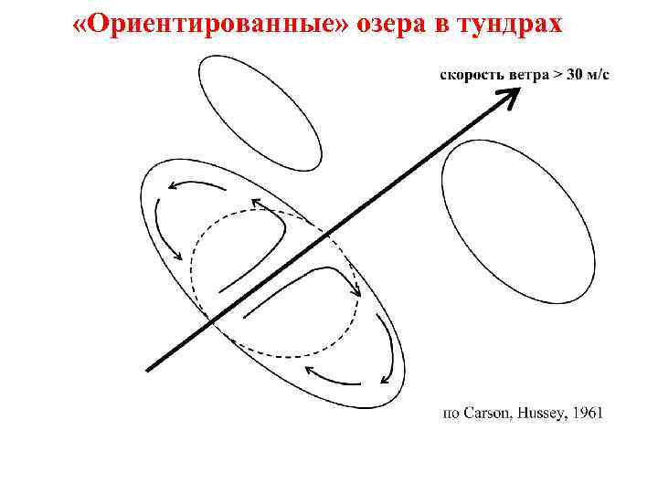  «Ориентированные» озера в тундрах 