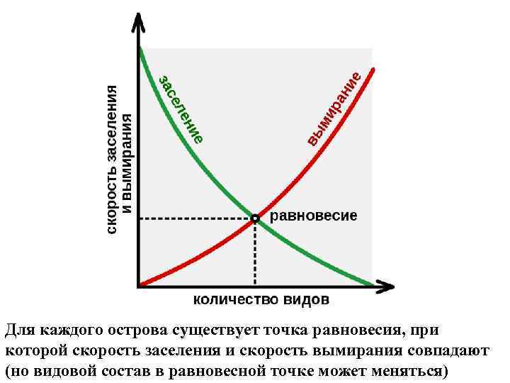 Точка равновесия. Равновесная точка. Точка равновесия формула. Что является точкой равновесия.