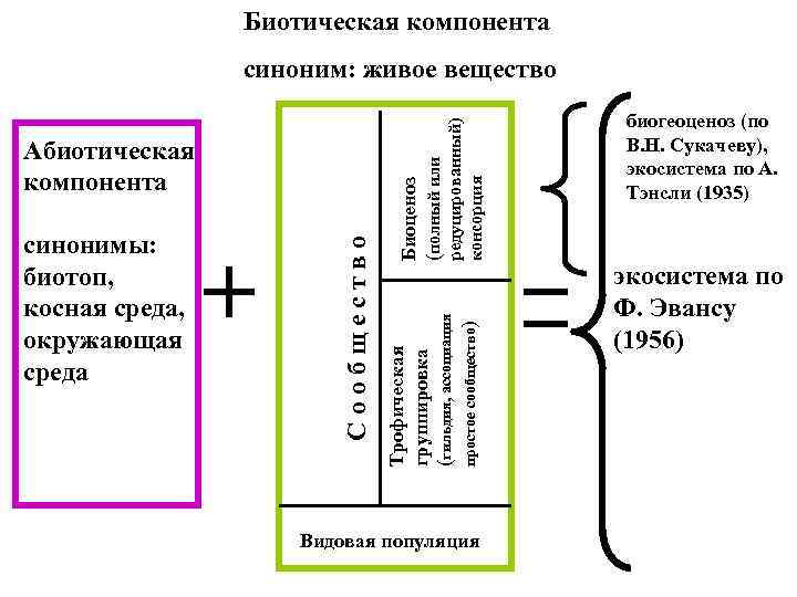 Биотическая компонента редуцированный) консорция Трофическая группировка (гильдия, ассоциация простое сообщество) синонимы: биотоп, косная среда,